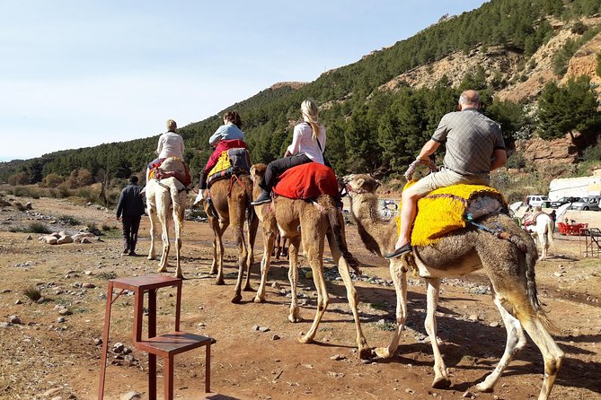 Atlas Mountains and Camel ride Day trip, from Marrakech - Key points at a glance