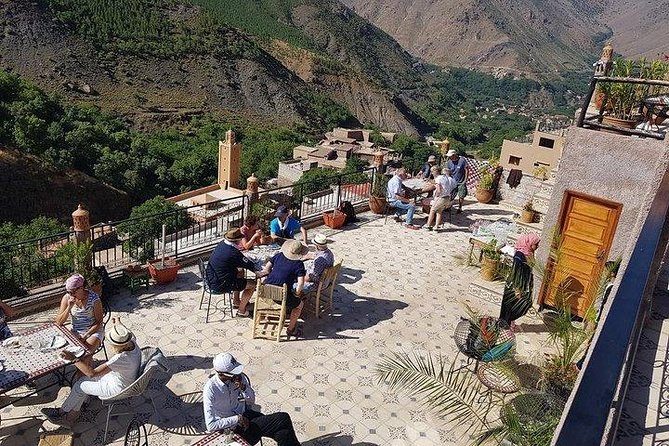 Atlas Mountains and Camel ride Day trip, from Marrakech - Bread, argan oil, and Moroccan tea