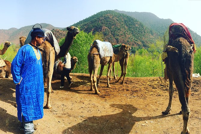 Atlas Mountains and Camel ride Day trip, from Marrakech - Villages, river paths, and the waterfall