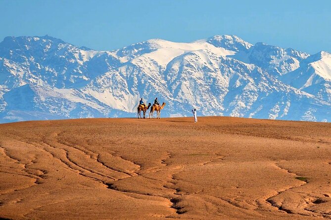Atlas Mountains and Three Valleys & Waterfalls - Villages Marrakech Day Trip - Ourika Valley and the ride back