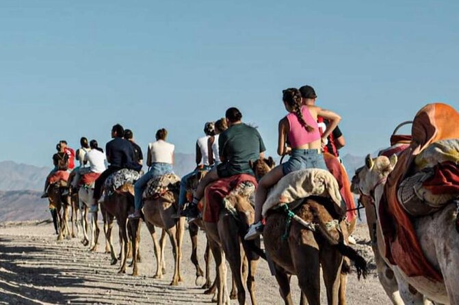 Atlas Mountains, Berber Villages and Three Valleys all inclusive - The argan oil cooperative and goats in the trees