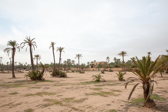 Atlas Mountains Hot Air Balloon Ride from Marrakech with Berber Breakfast and Desert Camel Experience - Who will enjoy this Marrakech balloon ride?