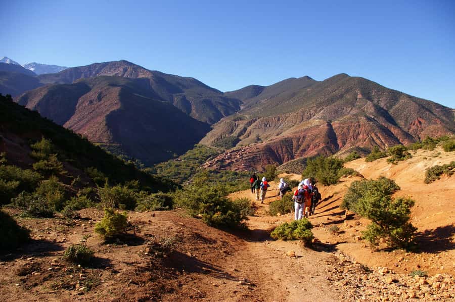 Atlas Mountains: Ijoukak and 4 Valleys with Camel Ride - A family lunch with seasonal Moroccan food
