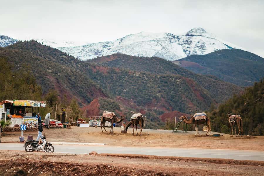 Atlas mountains, Ourika valley, berber villages trip & Guide - The Argan oil cooperative and the value of the first stop