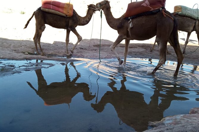 Atlas Mountains ourika valley Guided Tour - Key points at a glance