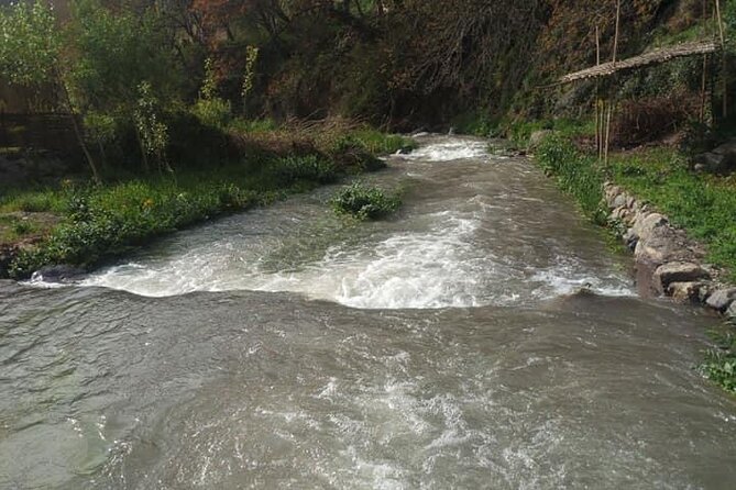 Atlas Mountains ourika valley Guided Tour - Who will enjoy this day most
