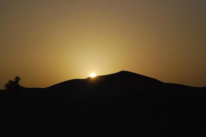 Basic Desert 3 Days 2 Nights from to Marrakesh - Day two: Todra Gorges and the road to Merzouga