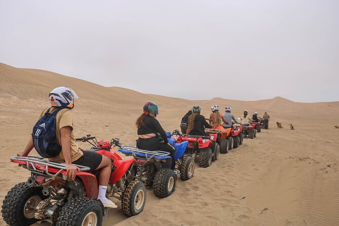 Beach Quad Biking and Sandboarding Adventure from Agadir - Tifnit: sandboarding on the dunes