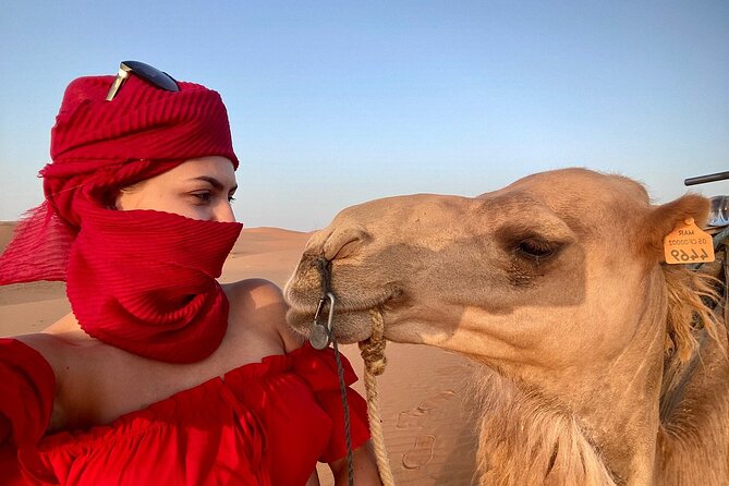 Best Fes to Merzouga Desert Tour 2 Days - Ziz Valley, Errachidia, and the road to Erfoud