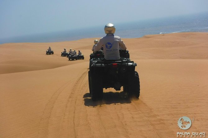 Big Cap Sim dunes and forest 3 hours tour. - Forest tracks and coastal views