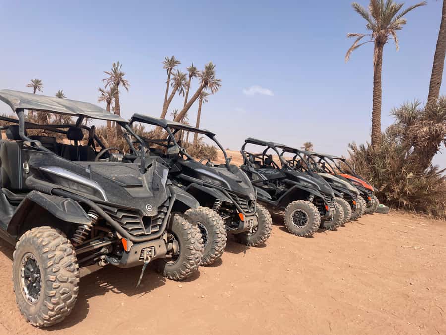 Buggy 1000 cc Adventure in Marrakech Desert - Who will enjoy this most?