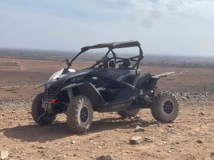 Buggy Marrakech Desert and Palmerie - Palm trees, Berber villages, and open desert
