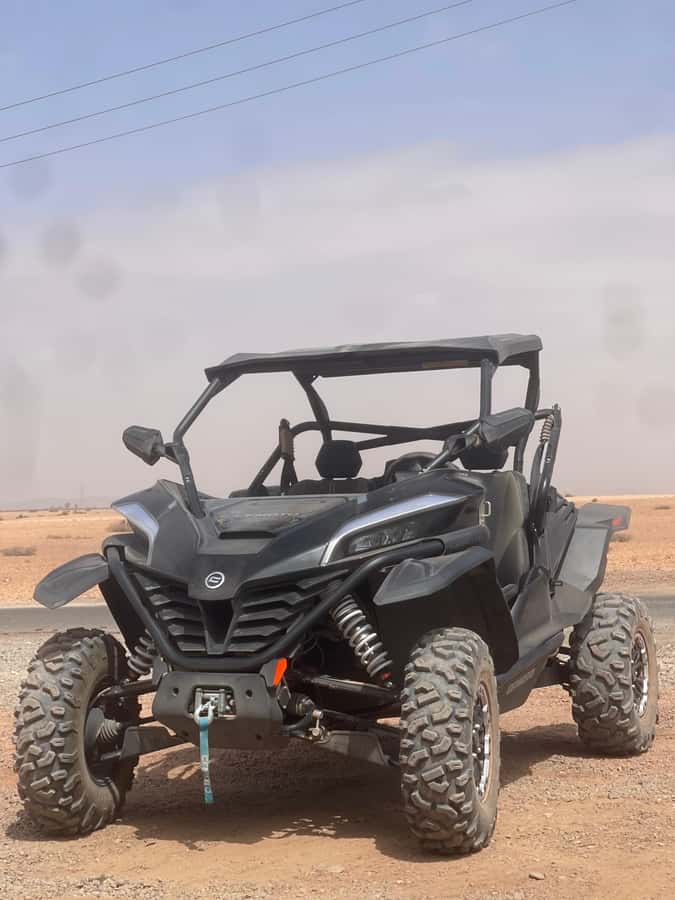 Buggy Marrakech Desert and Palmerie - The guide makes the difference