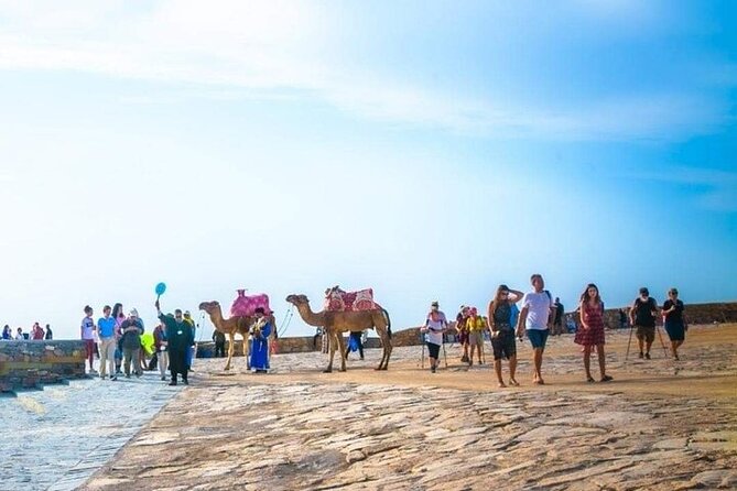 Cable Car Experience and Agadir City Tour. - Weather, timing, and practical details