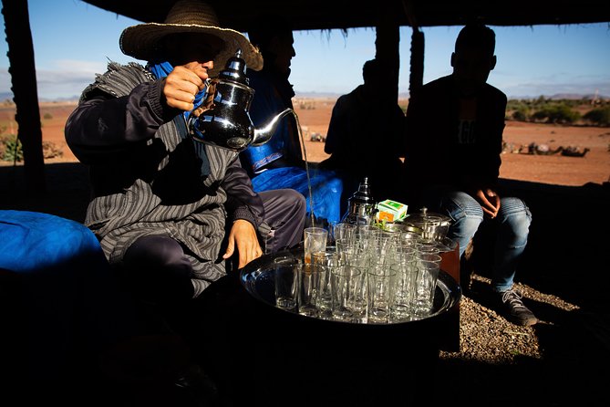 Camel and Quad Biking Tour from Marrakech - Is $98.48 good value?