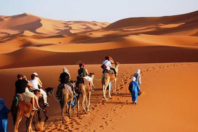 ✅ Camel Ride and Overnight in Sahara Desert Camp - Tagine, mint tea, and desert music