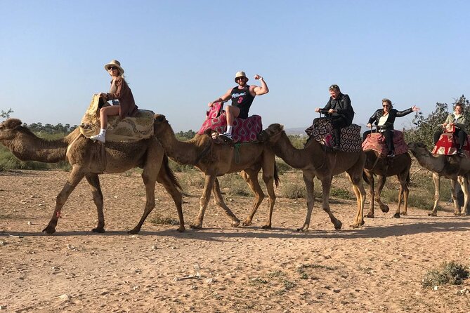 Camel ride in agadir at sunset with barbecue and couscous - Sunset depends on the departure time