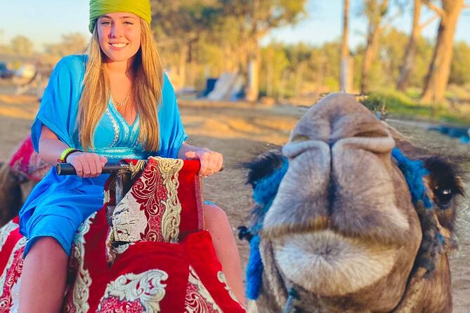 Camel ride in agadir at sunset with barbecue and couscous - What the route feels like in real terms