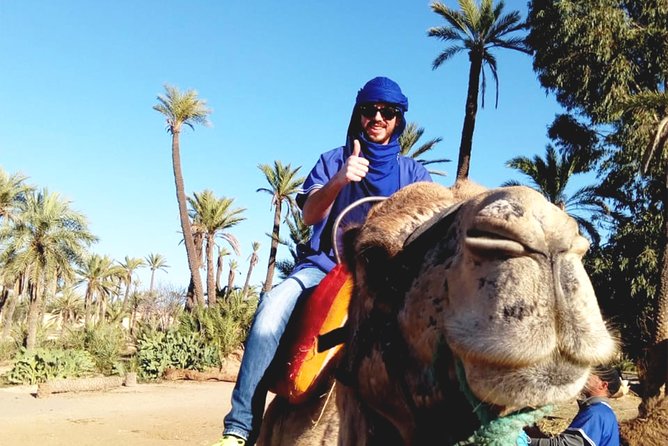 Camel Ride in Marrakech with Hotel-Pick up and Drop-off Included - Who will enjoy this trip most