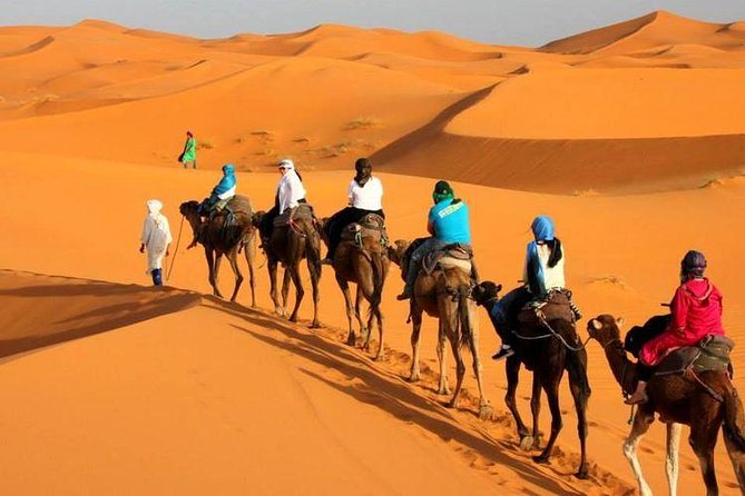 Camel ride in Tanger - Plage de Tanger and the start of the ride