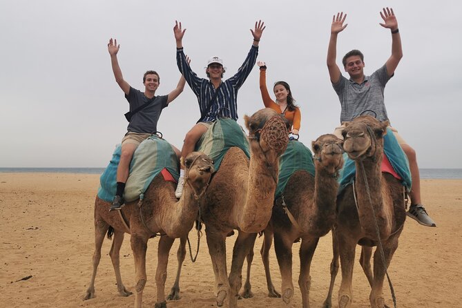 Camel ride in Tanger - What the $40.55 price really covers