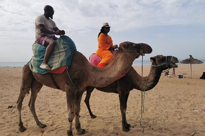 Camel ride in Tanger - The guides can make or break the short schedule