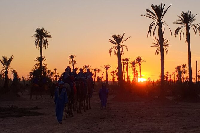 Camel ride Marrakech - What this Marrakech camel ride really is