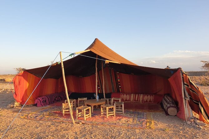 Camel ride Marrakech - Mounting up and learning the basics