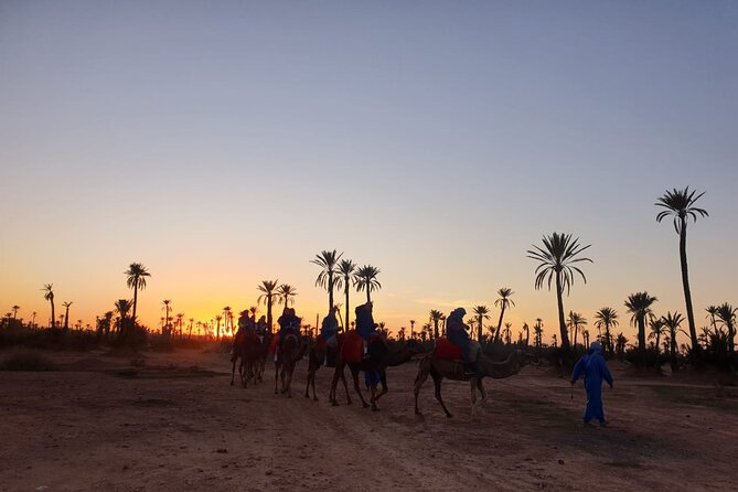 Camel ride Marrakech - Pickup from Marrakech and the ride out