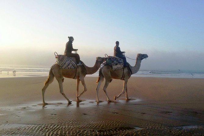 Camel Ride on the Beach of Essaouria - Riding a calm dromedary for the first time