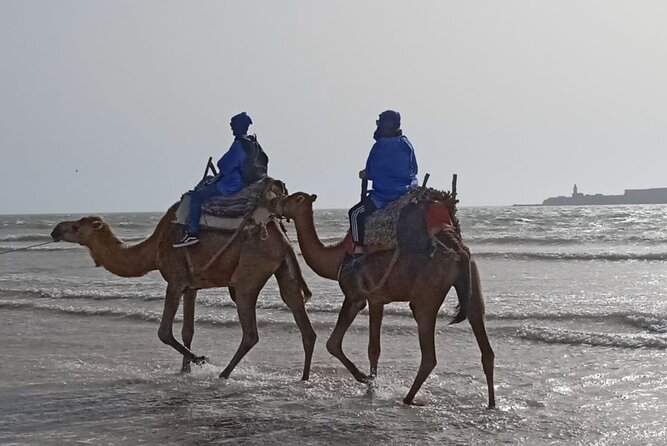 Camel ride or quad bike ride.. pick up, drop off. including - The Portuguese fort gives the ride a historical pause