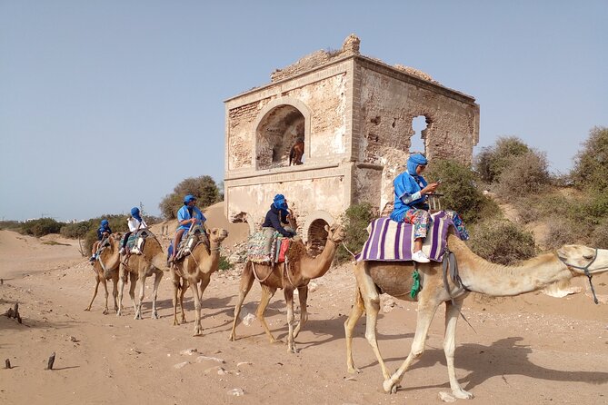 Camel ride or quad bike ride.. pick up, drop off. including - Oued Ksob and the birdlife near Diabat