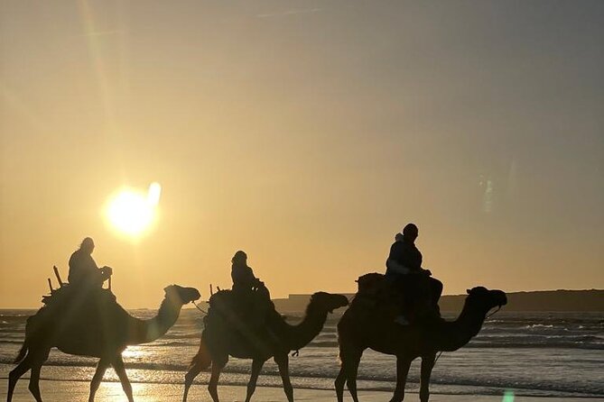 Camel ride or quad bike ride.. pick up, drop off. including - What the camel ride feels like in practice