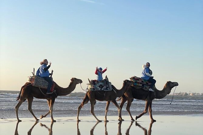 Camel ride or quad bike ride.. pick up, drop off. including - Who should book this experience