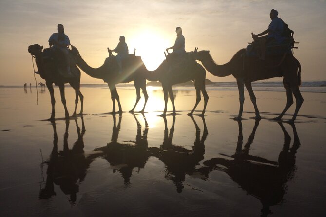 Camel ride or quad bike ride.. pick up, drop off. including - Sunset is worth planning around