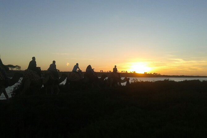 Camel ride + sunset + BBQ dinner in Agadir - Key points to know before you book