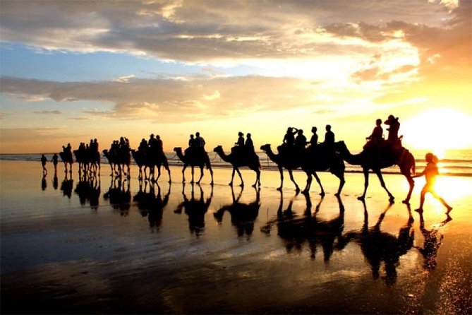 Camel Riding Agadir - From Agadir Hotels to the Souss Massa River