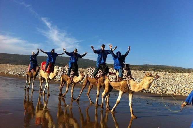 Camel Riding Agadir - A Two-Hour Camel Ride With a Natural Setting