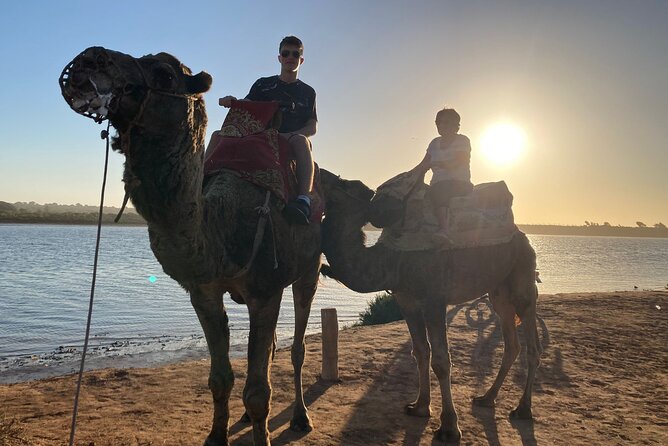 Camel Riding Agadir - Private Groups and the Pace of the Ride
