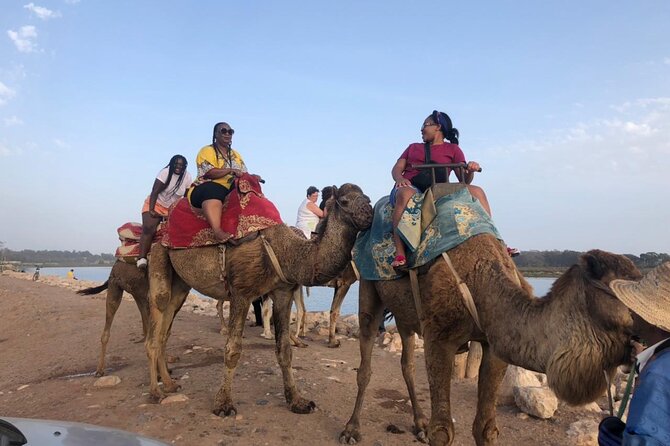 Camel Riding Agadir - Half-Day and Full-Day Options