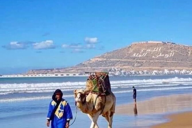 Camel Riding Agadir - Who Will Enjoy This Agadir Excursion