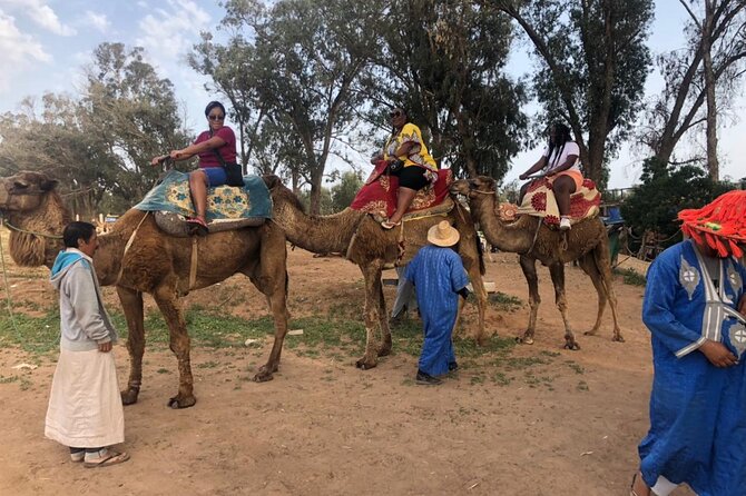 Camel Riding Agadir - Timing, Weather, and What to Confirm