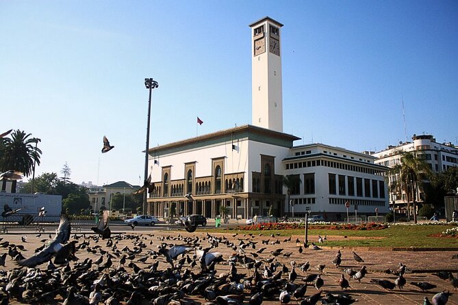 Casablanca Airport Layover Tour with Return to Airport or Hotel Dropoff - How the timing works in real life