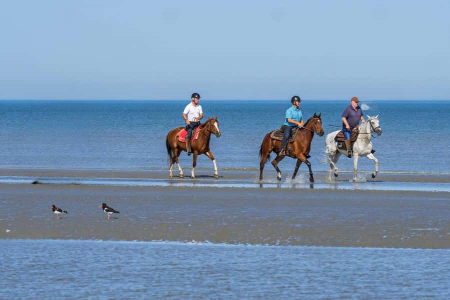 Casablanca: Beach Horseback Riding with Hotel Transfers - Leaving Casablanca for the Atlantic Coast