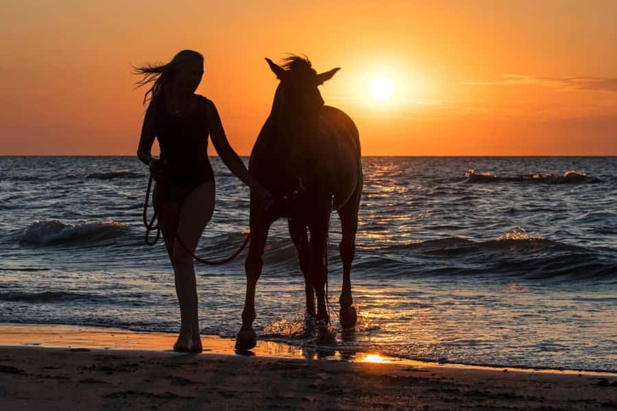 Casablanca: Beach Horseback Riding with Hotel Transfers - Meeting the Horses Near the Beach