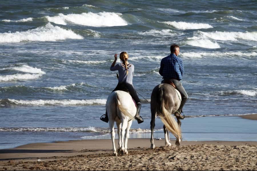 Casablanca: Beach Horseback Riding with Hotel Transfers - The Forest Option and Sunset Timing