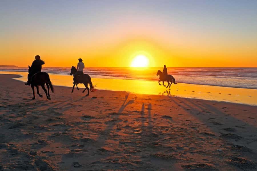 Casablanca: Beach Horseback Riding with Hotel Transfers - What the Two-Hour Schedule Really Means
