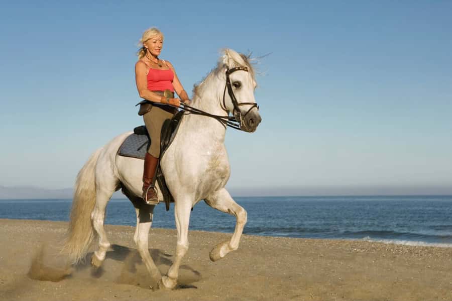 Casablanca: Beach Horseback Riding with Hotel Transfers - Safety, Pace, and Beginner Comfort