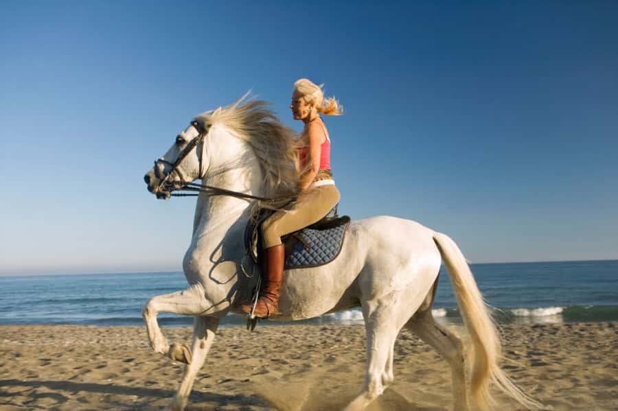 Casablanca: Beach Horseback Riding with Hotel Transfers - Photos, Staff, and the Human Touch