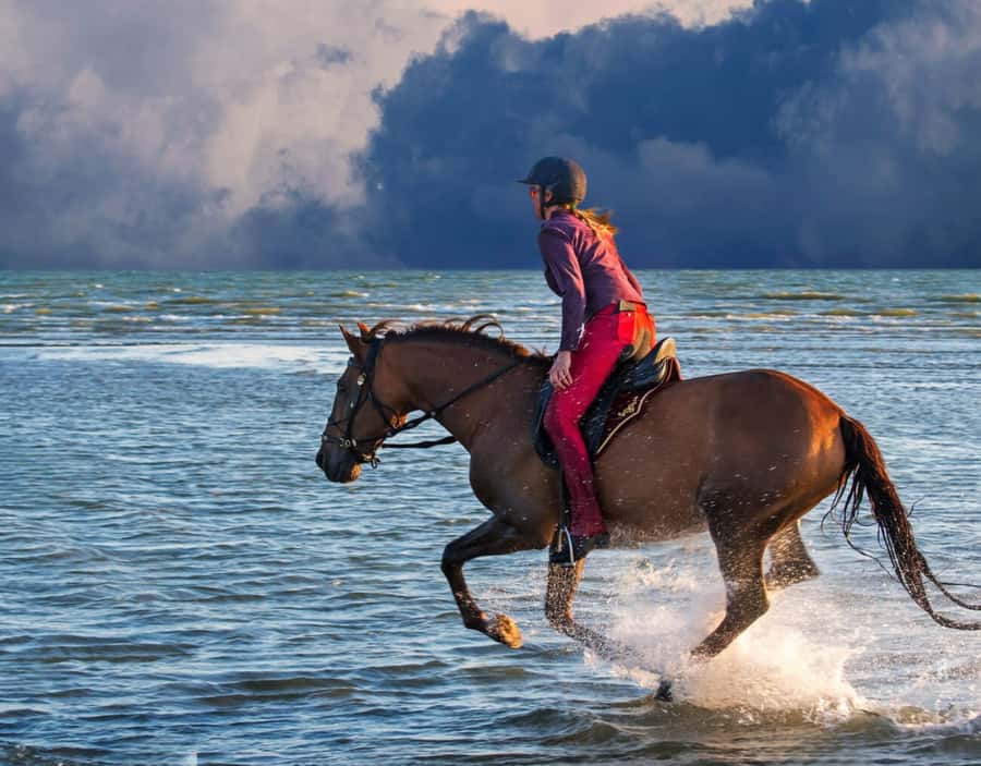 Casablanca: Beach Horseback Riding with Hotel Transfers - Who Will Enjoy This Casablanca Horse Ride?